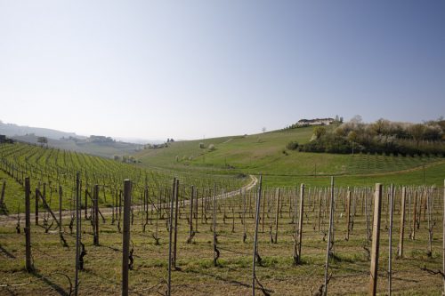 Vista panoramica dell'area dell'intervento