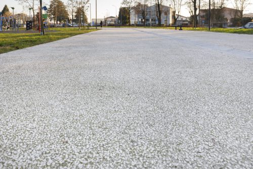 Parco Alcide De Gasperi-Orzinuovi BS-06