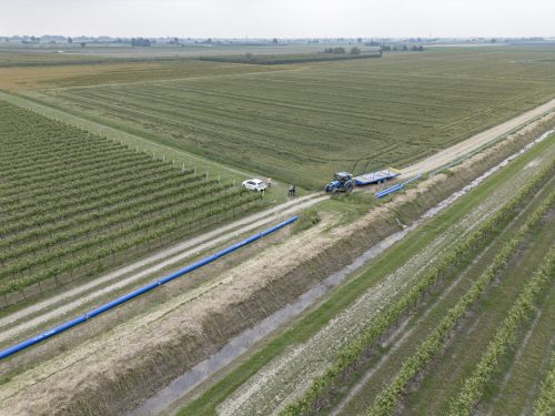 Sistema irriguo del comparto Fosso Vecchio-Bagnacavallo-12