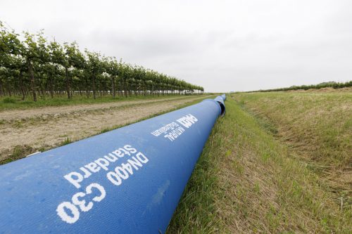 Sistema irriguo del comparto Fosso Vecchio-Bagnacavallo-6