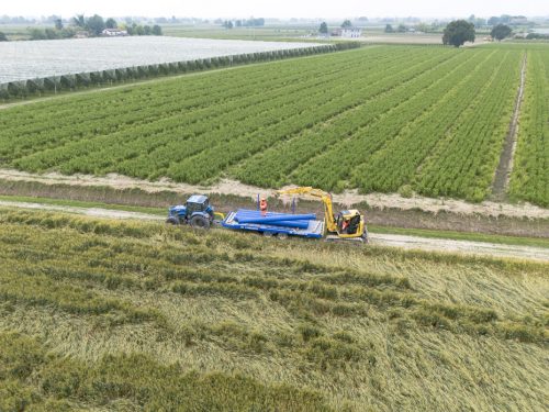 Sistema irriguo del comparto Fosso Vecchio-Bagnacavallo-9