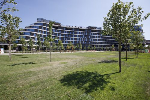 The-Social-Hub-Roma-1